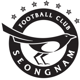龍仁FC